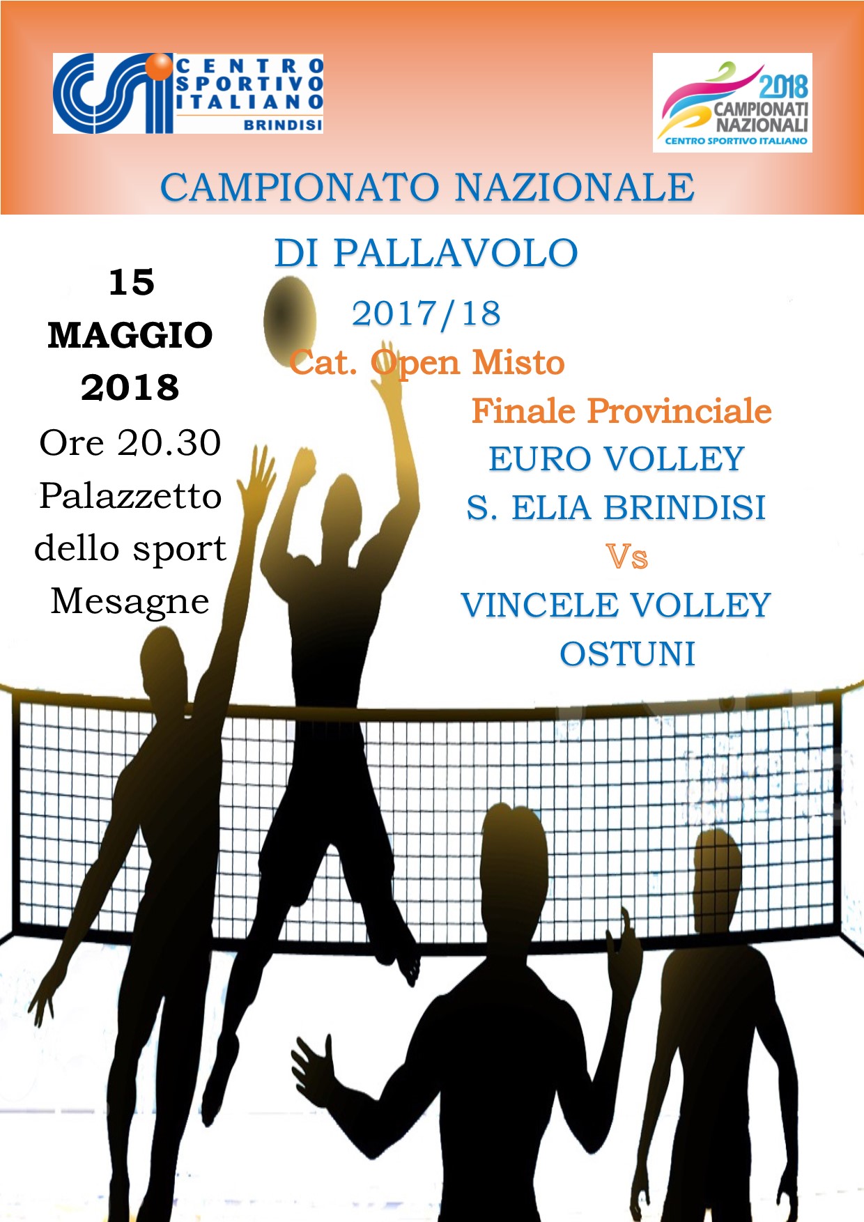 finale pallavolo