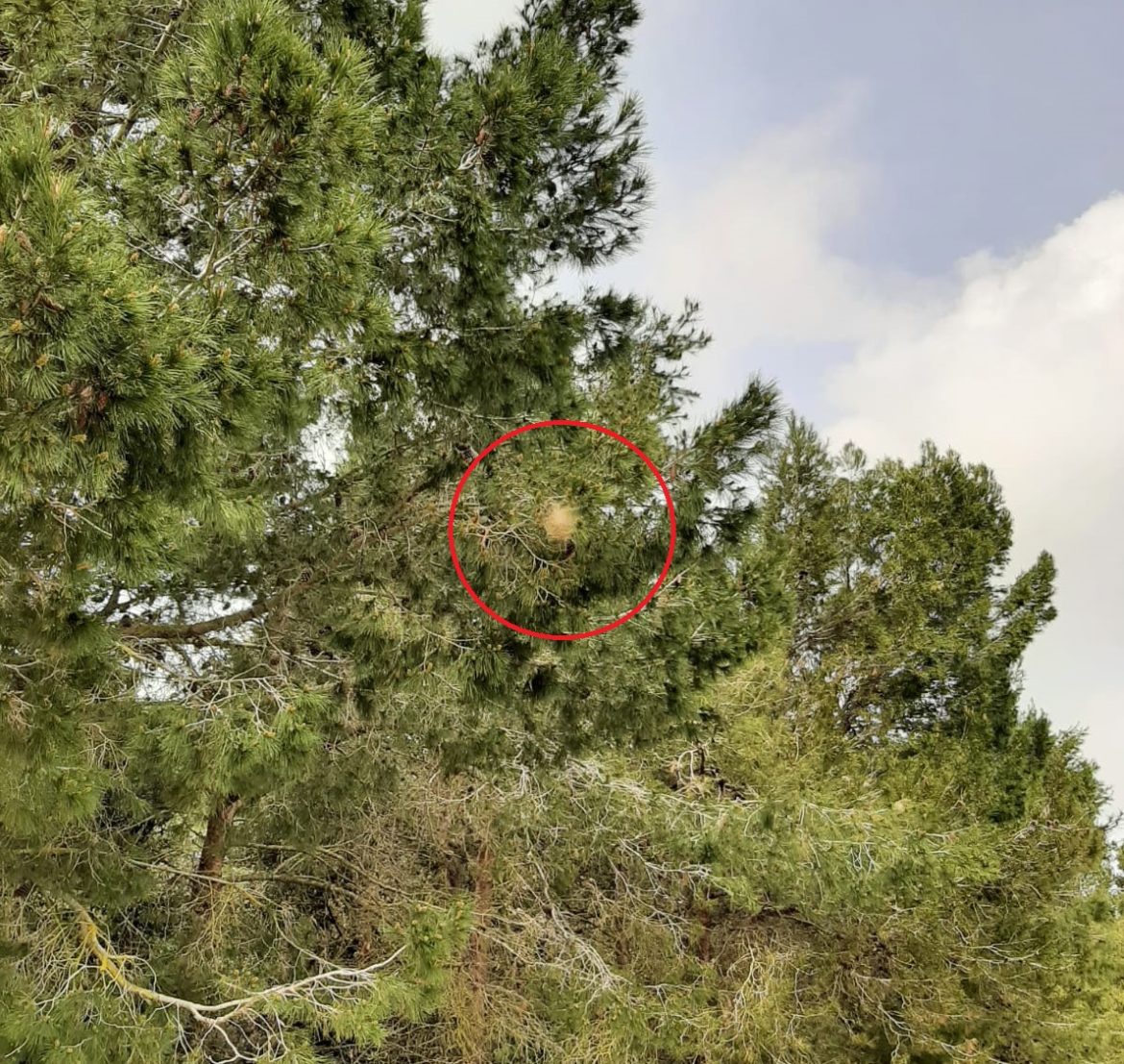 WhatsApp Image 2022-03-17 at 10.24.48